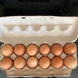 Brown Eggs