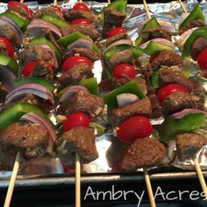 Beef Kabob with peppers, onions and tomato