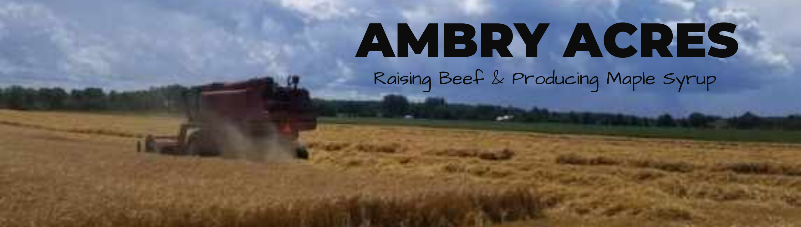 Combine in barley field on our farm