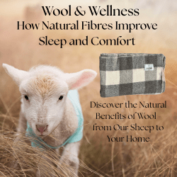 Wool & Wellness